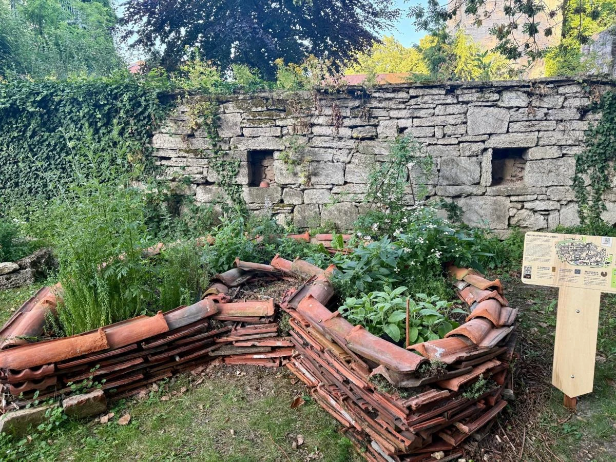 Garten am Haus der Kirche